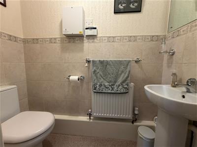 Picture 11